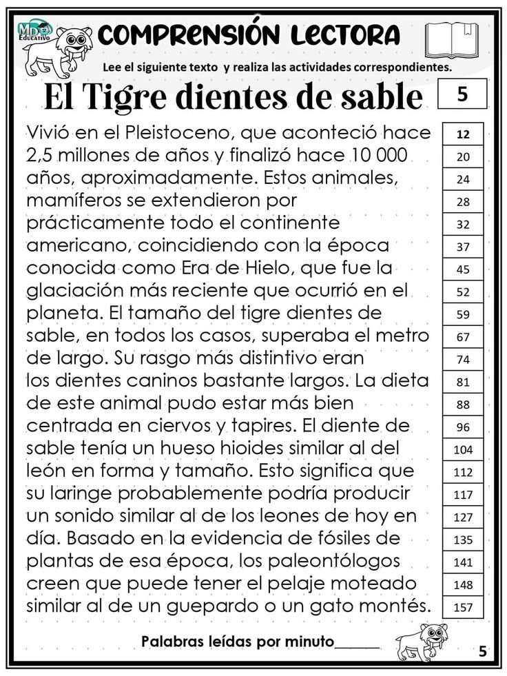 Electrónica Pro 1